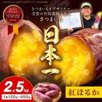 日本一のさつまいも 2.5kg