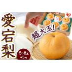 佐藤ファーム 愛宕梨 5玉から8玉 約5kg