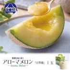 アローマメロン 白等級 1玉入
