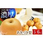 あきづき梨 5-6玉 BKAD028 梨