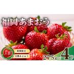 いちご 1.1kg