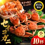 セイコガニ ズワイガニのメス 小サイズ 10ハイ