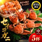 セイコガニ ズワイガニのメス 中サイズ 5ハイ