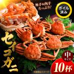 セイコガニ ズワイガニのメス 中サイズ 10ハイ