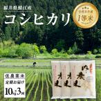 令和7年産 内農米コシヒカリ定期便 10kg