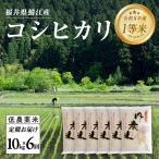 令和7年産 内農米コシヒカリ定期便 10kg