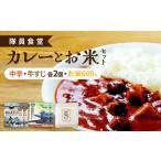 隊員食堂カレー 中辛2個 牛すじ2個 お米600gセット