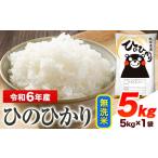 ふるさと納税 令和6年産 ひのひかり 無洗米 5kg 《7-14日以内に出荷予定(土日祝除く)予定》 熊本県産 無洗米 精米 ひの 送料無料 熊本県 山江村 熊本県山江村