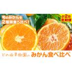 どの坂果樹園のみかん食べ比べ定期便 2回