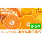 どの坂果樹園の訳ありみかん 食べ比べ定期便