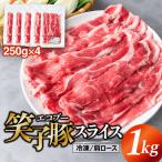 豚肉 切り落とし 小分け 1kg