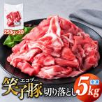 豚肉 切り落とし 小分け 5kg