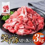 豚肉 切り落とし 小分け 3kg