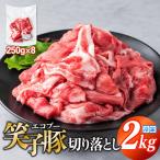 豚肉 切り落とし 小分け 2kg