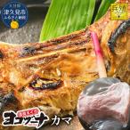 本まぐろ ヨコヅーナ 本まぐろカマ