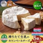 カマンベールチーズ 120g