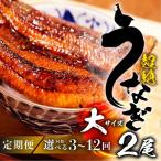 うなぎ蒲焼 大2尾