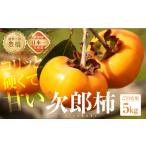 ふるさと納税 ≪先行予約≫ 生産量日本一 豊橋石巻産 次郎柿 ご自宅用 5kg 柿 訳あり 不揃い (15〜25玉) 甘柿 果物 10月 11月 愛知県 豊橋市 愛知県豊橋市