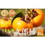 ふるさと納税 ≪先行予約≫ 生産量日本一 豊橋石巻産 次郎柿 ご自宅用 10kg 柿 訳あり 不揃い (30〜50玉) 甘柿 果物 10月 11月 愛知県 豊橋市 愛知県豊橋市