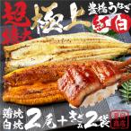 うなぎ 長蒲焼長白焼 特大2尾+きざみ