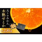 ふるさと納税 ≪先行予約≫大トロみかん『木熟せとか』黒の化粧箱(大) 厳選プレミアム 2.8kg せとかせとかせとかせとかせとか期間限定期.. 愛知県豊橋市