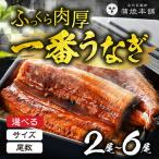 一番うなぎ蒲焼 超特大6尾