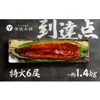 うなぎ蒲焼 特大6尾