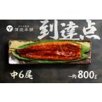 うなぎ蒲焼 中6尾