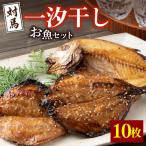 対馬 一汐干し お魚 セット 5種10枚 アジ