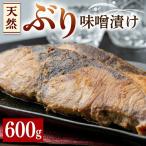 天然 ぶり 味噌漬け 600g