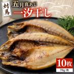 対馬 一汐干し お魚 セット 5種10枚 アジ
