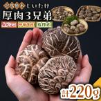 対馬 原木 しいたけ 厚肉 3種