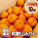 ふるさと納税 【訳あり】和歌山みかん 約9.5kg+補償分約500g サイズ混合 11月より順次発送 訳ありみかん 【red1】 和歌山県海南市