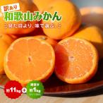 和歌山みかん約11kg+補償分約1kg