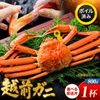 越前がに 800g×1杯
