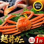 越前がに 900g×1杯