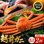 越前がに 600g×2杯