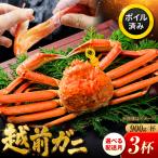 越前がに 900g×3杯