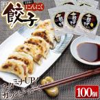 行田のにんにく餃子 5袋セット No.420