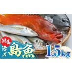 対馬 活〆 島魚 セット 1.5kg