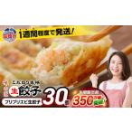 ふるさと納税 餃子 プリプリエビ生餃子 30個 宮城県塩竈市