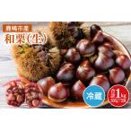 栗 くり 和栗 500g×2袋