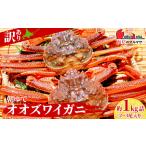 ふるさと納税 北海道産【 朝ゆで 】訳ありオオズワイガニ 1.0kg詰 ＜かにのマルマサ＞ 北海道千歳市
