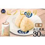 令和8年産新米 ヒノヒカリ 玄米30Kg