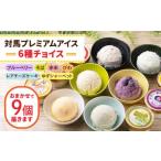 対馬 プレミアム アイス 6種セット アイスクリーム