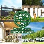 グランピング LUCY RESORT 利用券 300,000円分