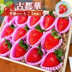 高級ブランド“古都華”と“季節のいちご”2種盛り