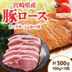 豚肉 豚ロース トンテキ とんかつ用 計500g_AA62-24