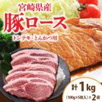 豚肉 豚ロース トンテキ とんかつ用 計1kg_BC97-24