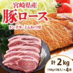 豚肉 豚ロース トンテキ とんかつ用 計2kg_CD56-24